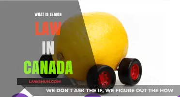 Lemon Law in Canada: Your Rights Explained