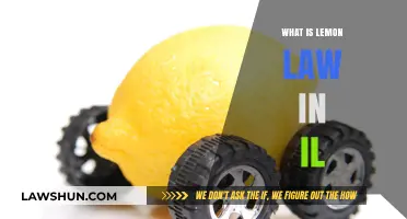Understanding Illinois Lemon Law: Protecting Consumers from Defective Vehicles
