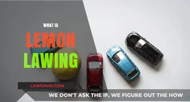 Understanding Lemon Lawing: Protecting Consumers from Defective Vehicles