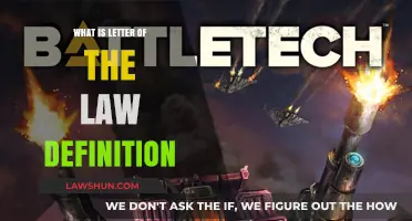 Understanding the Letter of the Law: Definition and Legal Implications