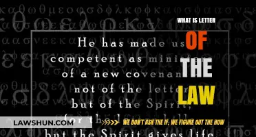 Understanding the Letter of the Law: A Comprehensive Guide