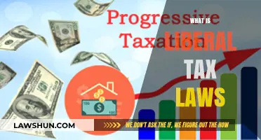 Liberal Tax Laws: Understanding the Basics