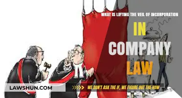 Lifting the Veil of Incorporation: Understanding Company Law's Legal Doctrine