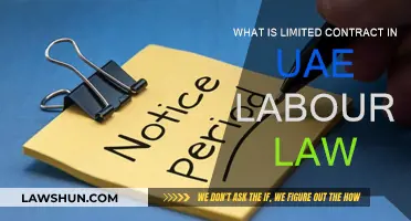 UAE Labour Law: Understanding Limited Contracts