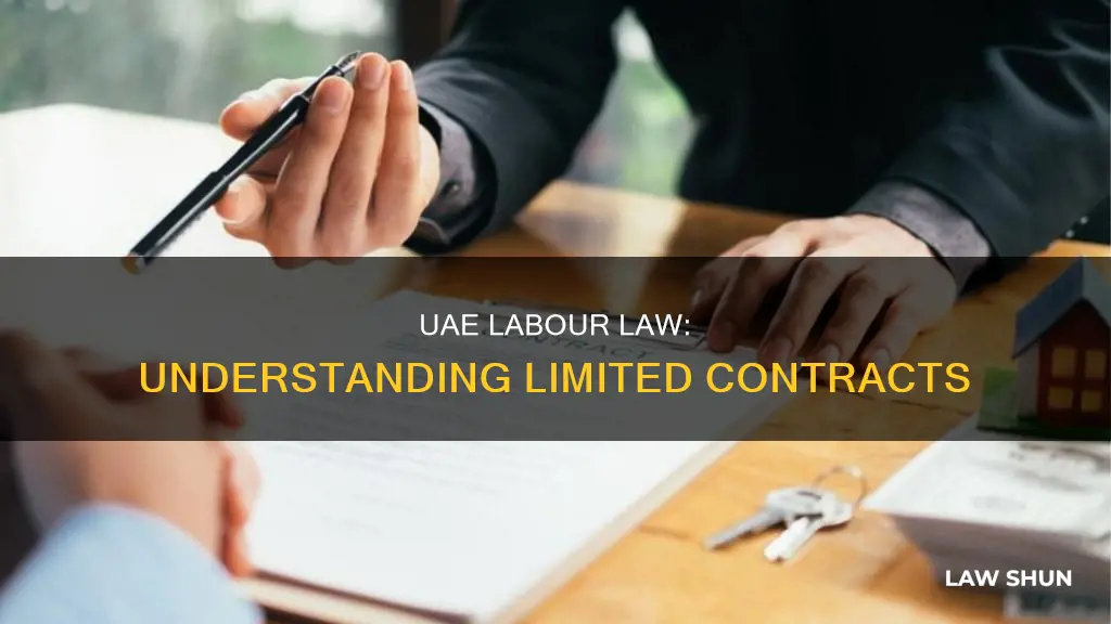 what is limited contract in uae labour law