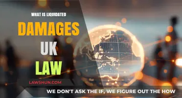 Liquidated Damages: UK Law Explained