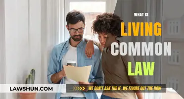 Common-Law Marriage: What's the Deal?