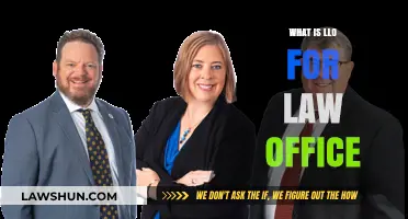 Understanding LLO: Essential Legal Entity for Law Office Operations