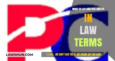 Understanding LLP, PCC, and PC: Legal Structures Explained Simply