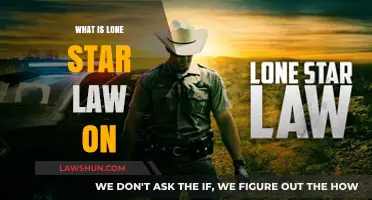 Understanding Lone Star Law: A Comprehensive Guide