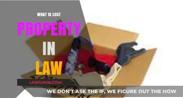 Understanding Lost Property: Legal Rights and Responsibilities Explained