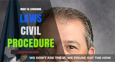 Understanding Louisiana's Civil Procedure Laws: A Comprehensive Guide