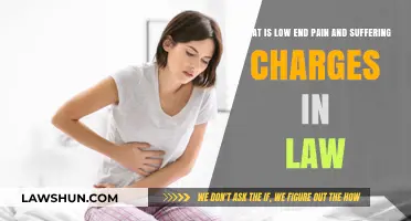 Understanding Low-End Pain and Suffering Charges in Legal Claims