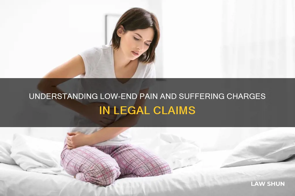 what is low end pain and suffering charges in law