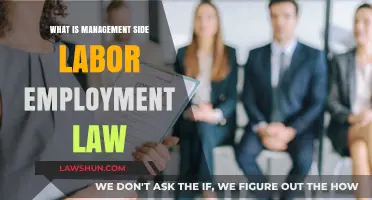 Understanding Management-Side Labor Employment Law: Key Principles and Practices