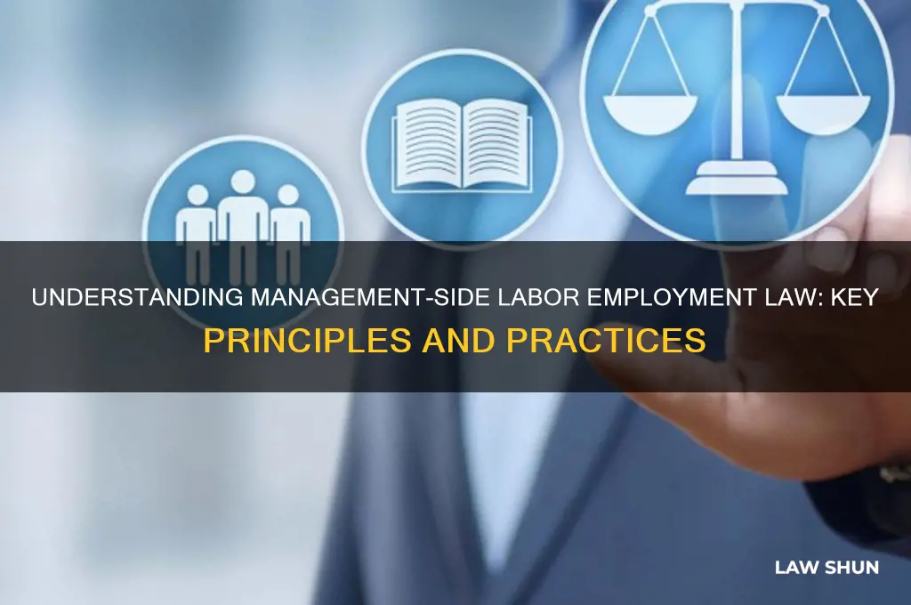 what is management side labor employment law