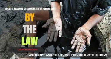 Manual Scavenging: Legal Status and Human Rights Implications Explored
