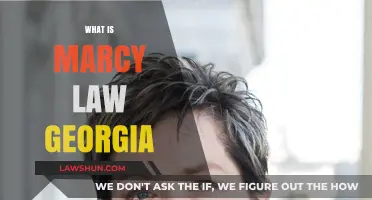 Understanding Marcy's Law in Georgia: Key Provisions and Impact