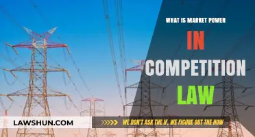 Understanding Market Power: Key Concepts in Competition Law Explained