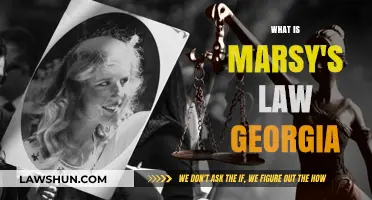 Understanding Marsy's Law in Georgia: Victims' Rights Explained