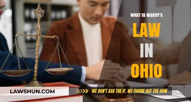 Understanding Marsy's Law: Ohio's Victims' Rights Amendment Explained
