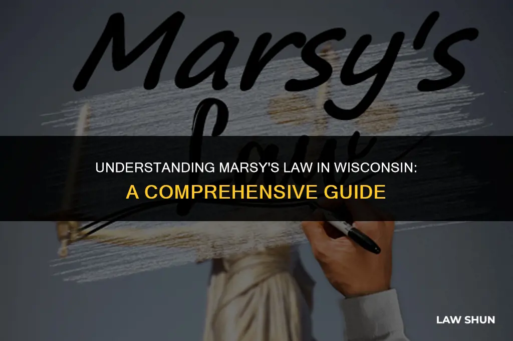 what is marsy