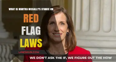 Martha McSally's Position on Red Flag Laws: A Comprehensive Overview