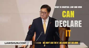 Martial Law: Who Can Declare Emergency Rule?