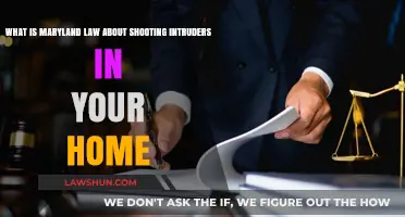 Maryland's Stand Your Ground Law: Shooting Intruders in Self-Defense