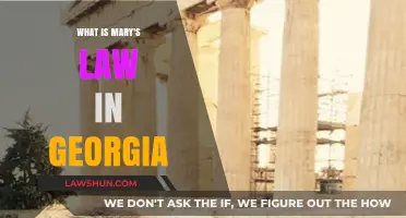 Understanding Mary's Law: Georgia's Legal Framework Explained Simply