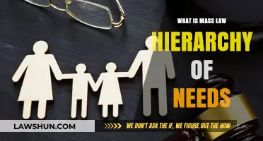 Understanding the Mass Law Hierarchy of Needs: A Comprehensive Guide