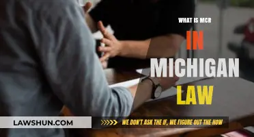 Understanding Michigan's MCR: Key Legal Rules and Applications