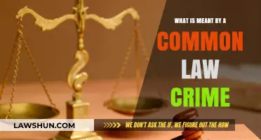 Understanding Common Law Crimes: Definition and Application