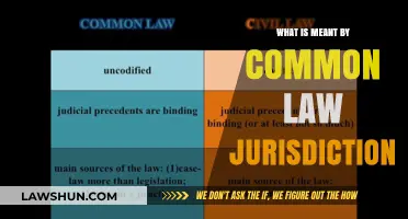 Understanding Common Law: A Global Legal System