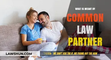 Understanding Common Law Partners and Their Rights
