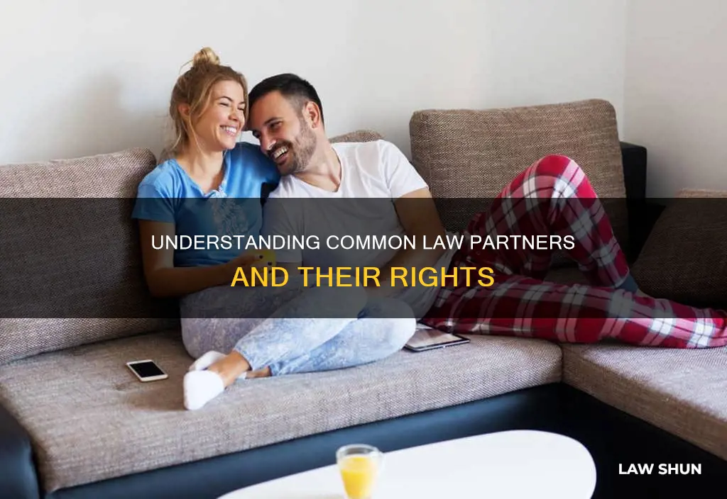 Understanding Common Law Partners And Their Rights | LawShun
