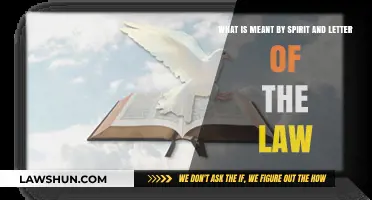 Understanding the Spirit and Letter of the Law: A Comprehensive Guide