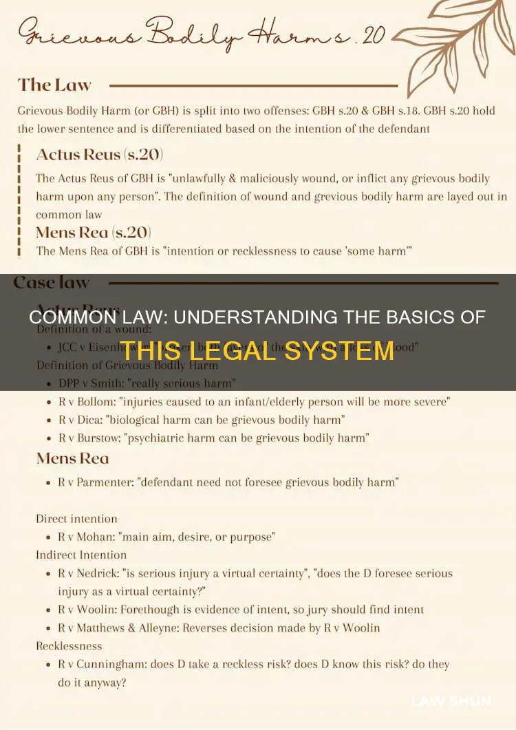 what is meant by the common law