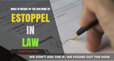 Understanding the Legal Doctrine of Estoppel: Principles and Applications