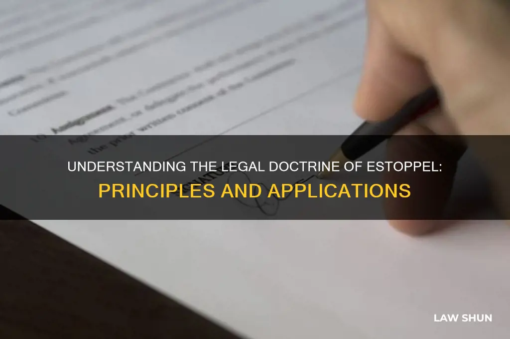 what is meant by the doctrine of estoppel in law