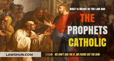 Understanding the Catholic Perspective on the Law and the Prophets