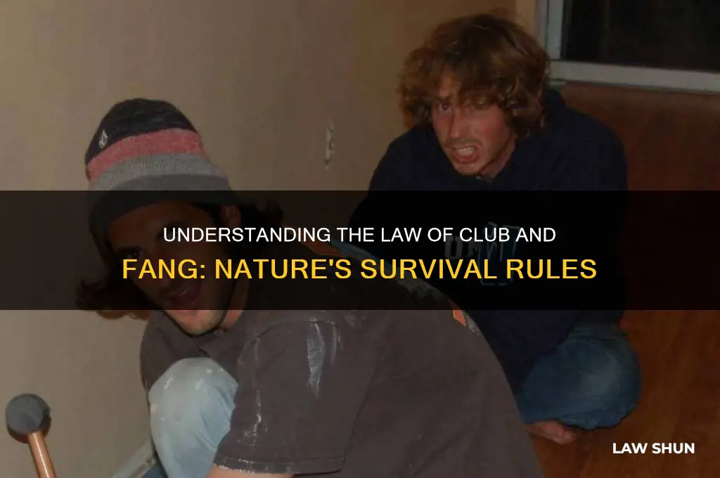 what is meant by the law of club and fang