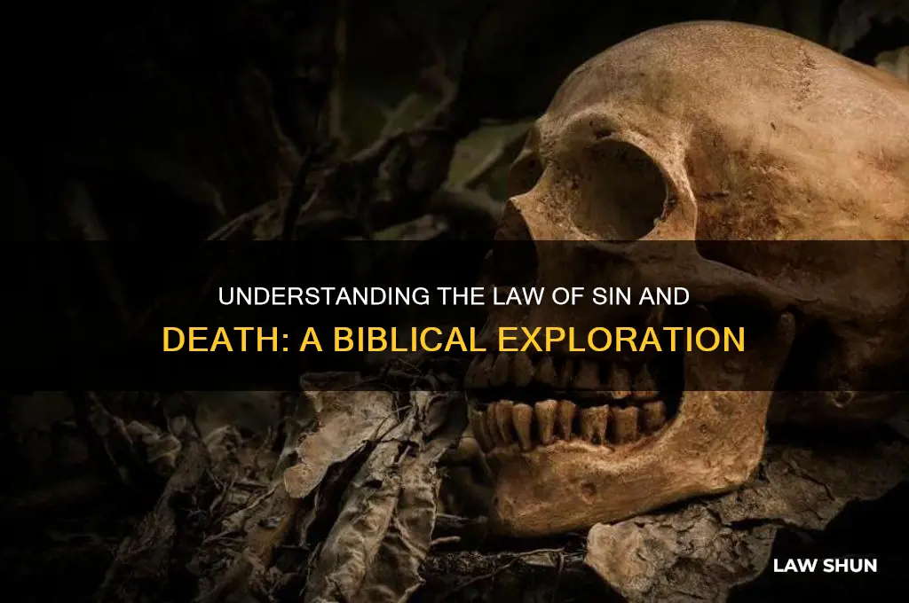 what is meant by the law of sin and death