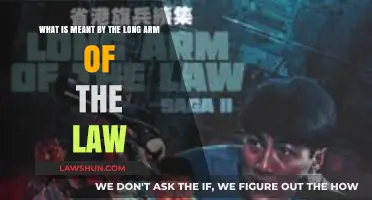 Understanding the Long Arm of the Law: Meaning and Implications