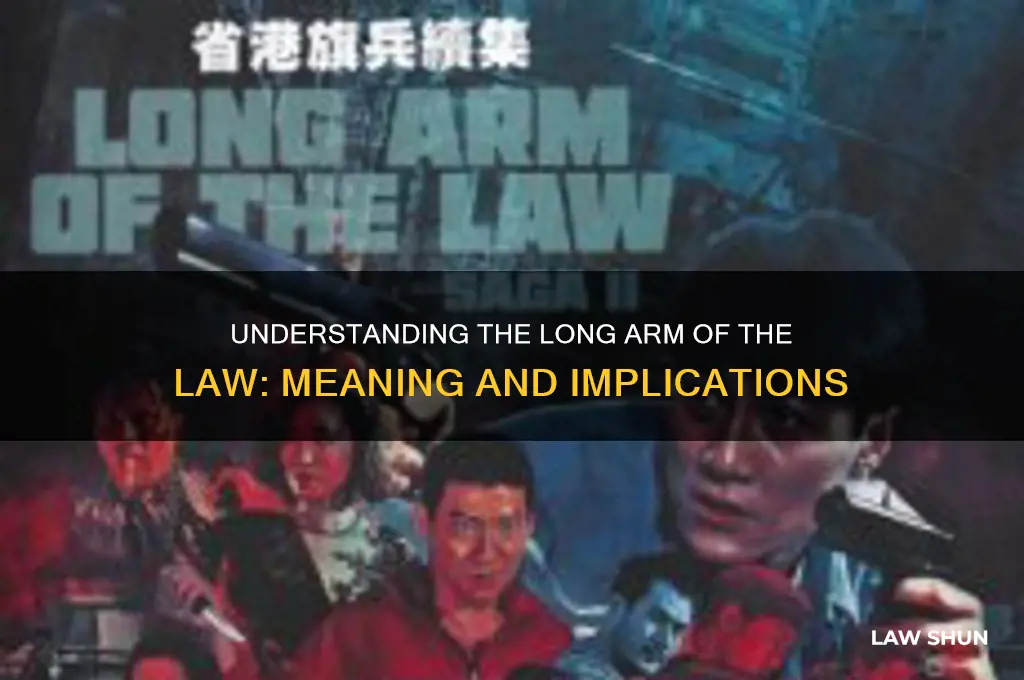 what is meant by the long arm of the law