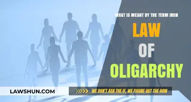 Understanding the Iron Law of Oligarchy: Power Dynamics Explained