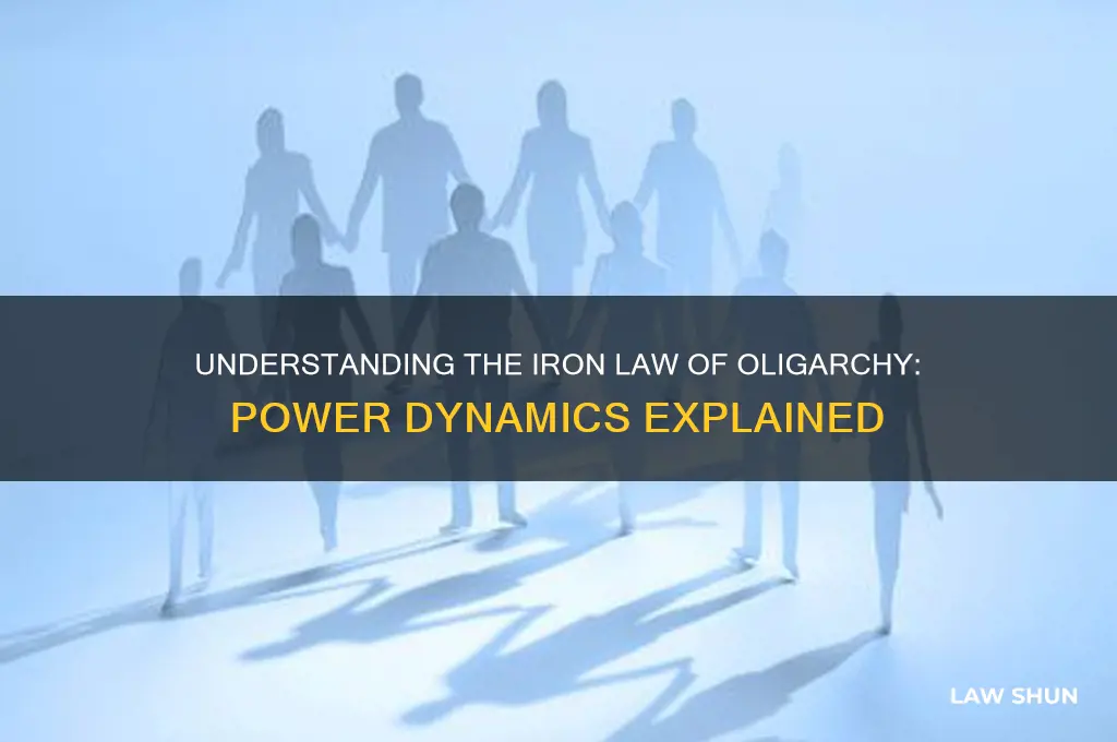 what is meant by the term iron law of oligarchy