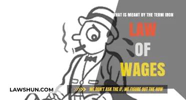 Understanding the Iron Law of Wages: Definition and Economic Impact