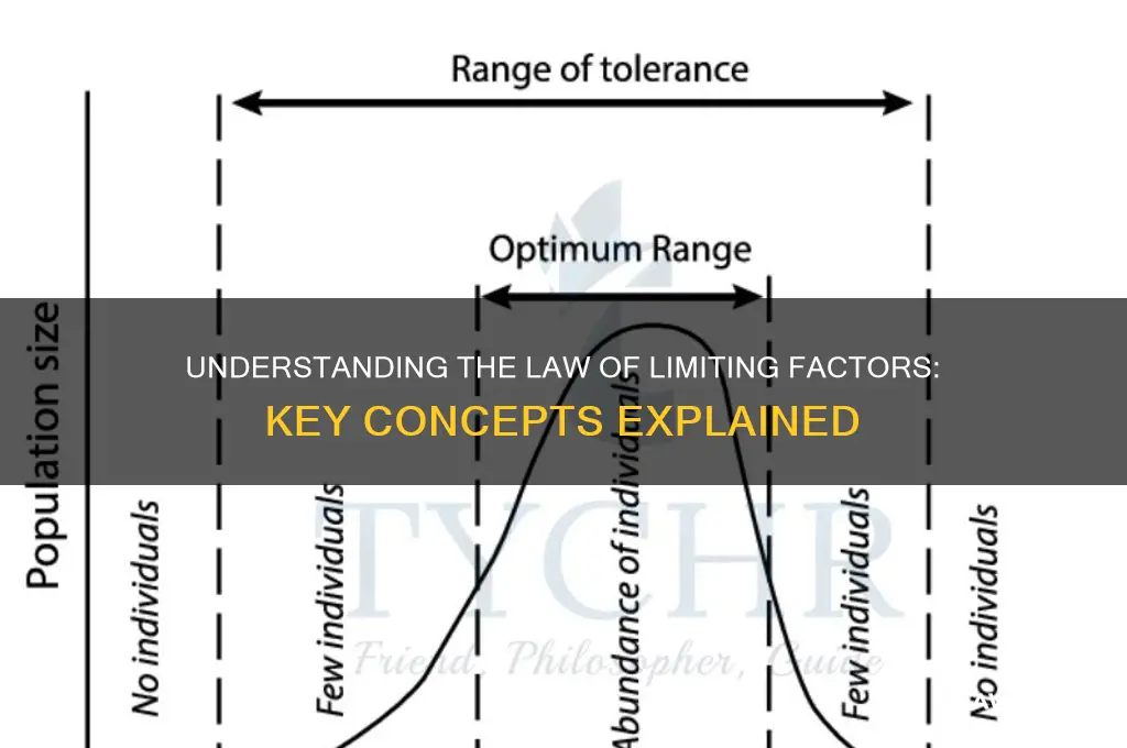 what is meant by the term law of limiting factors