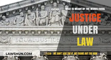 Equal Justice Under Law: Understanding Its Meaning and Importance